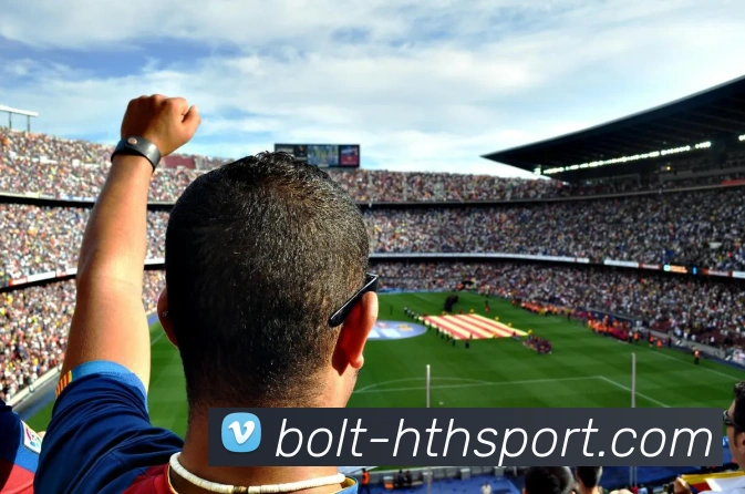 App Interface Preview